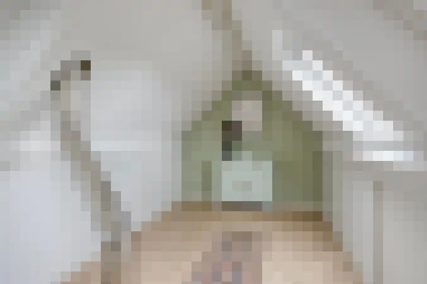 Erve Effinck 1 Enter thumbnail 29