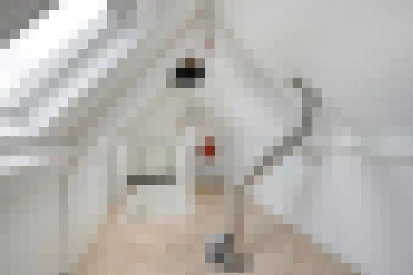 Erve Effinck 1 Enter thumbnail 30