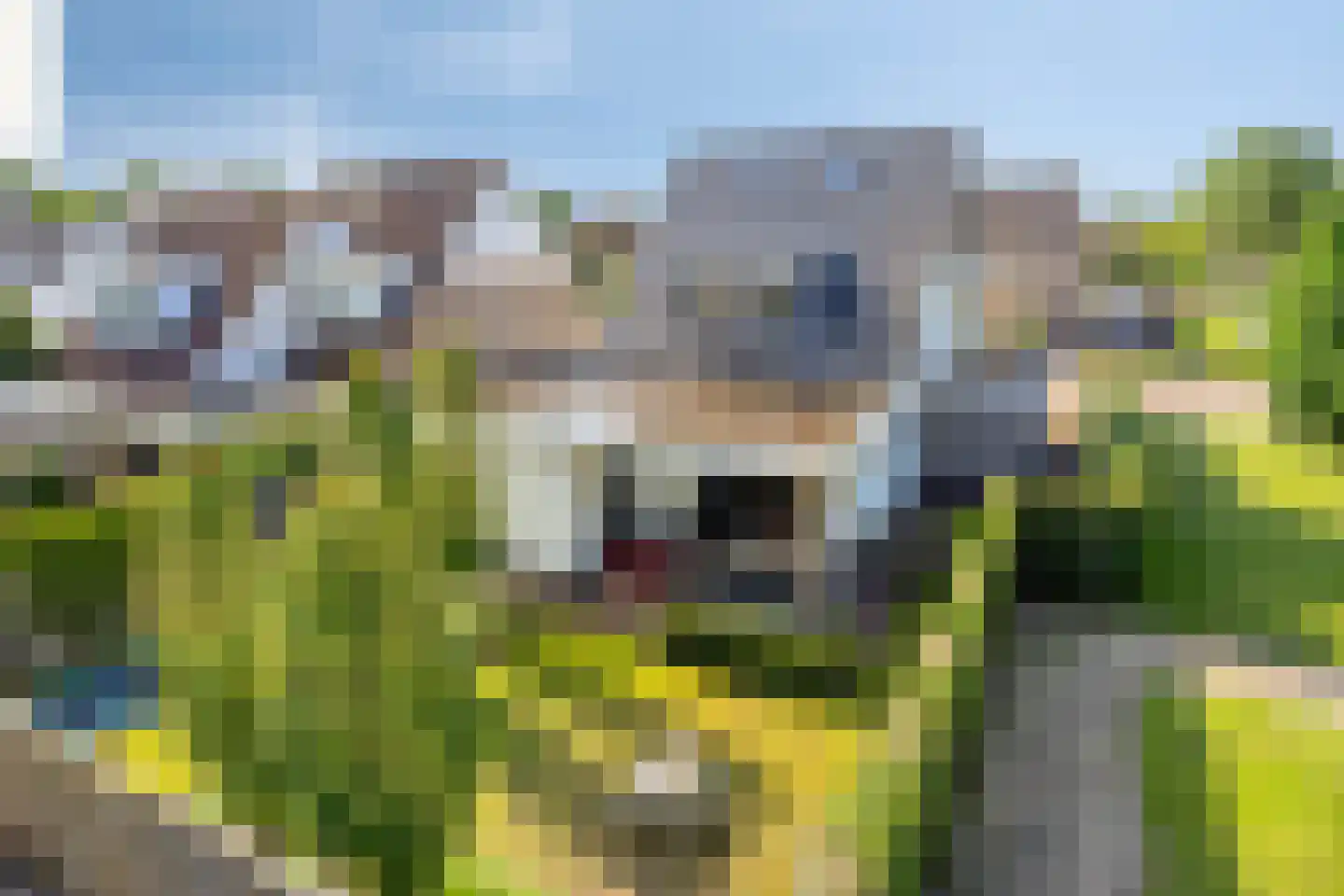 Erve Effinck 1 Enter thumbnail 31