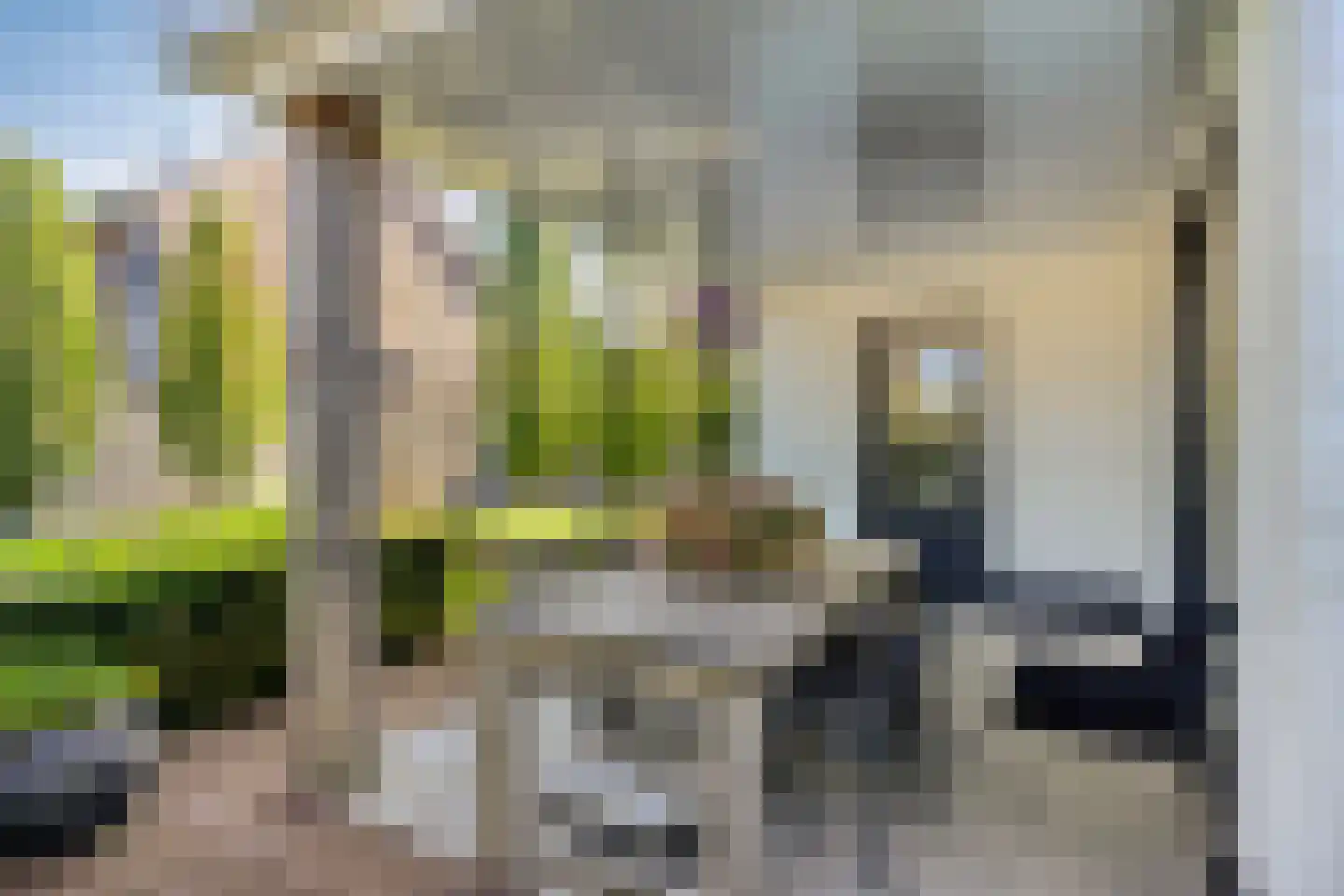 Erve Effinck 1 Enter thumbnail 34