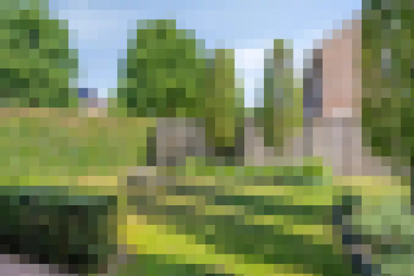 Erve Effinck 1 Enter thumbnail 36