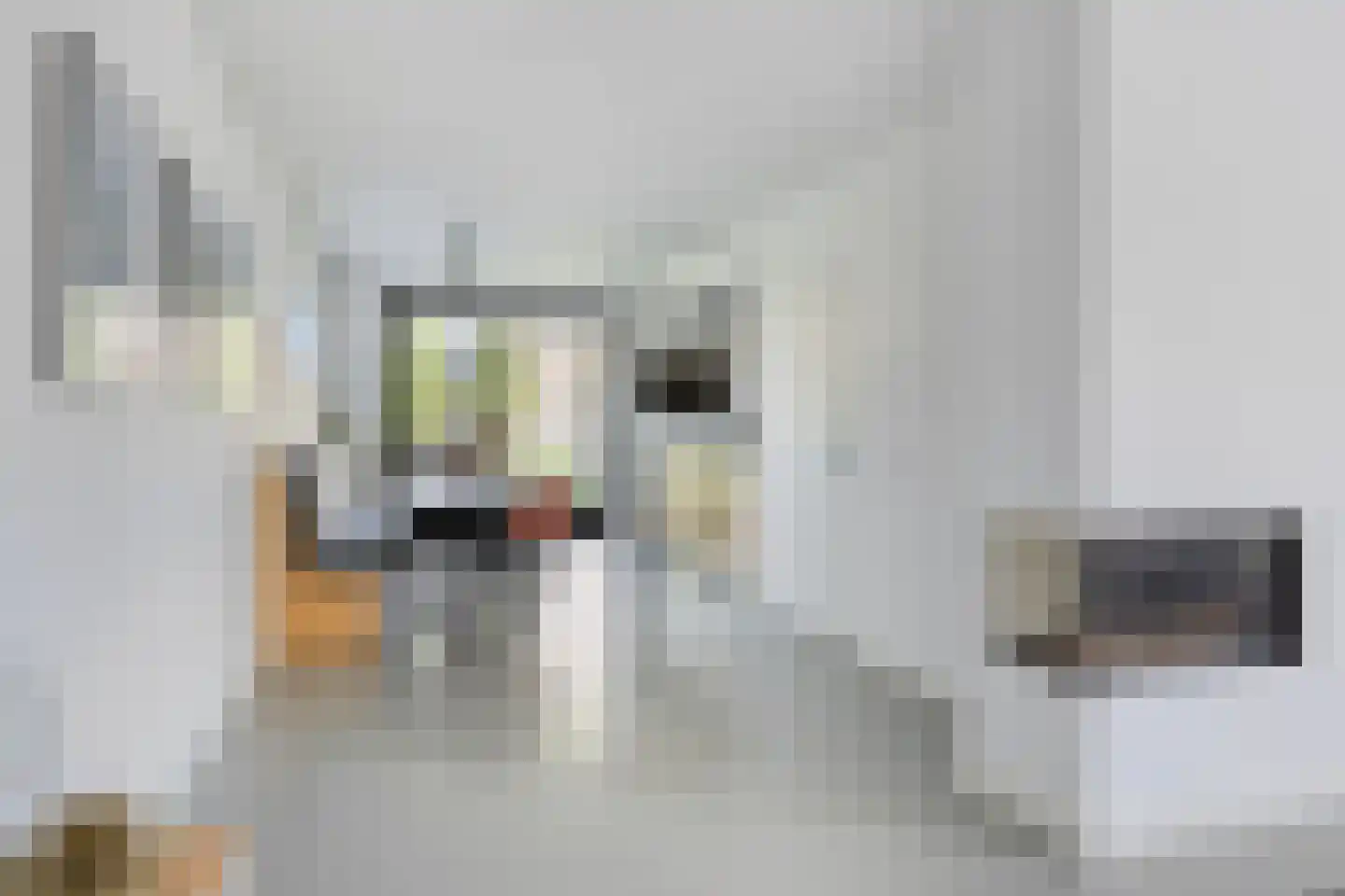 Erve Effinck 1 Enter thumbnail 8