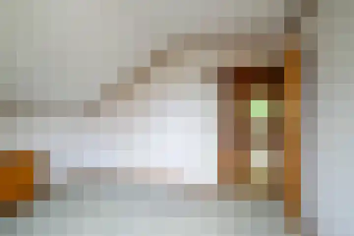 Erve Effinck 17 Enter thumbnail 25