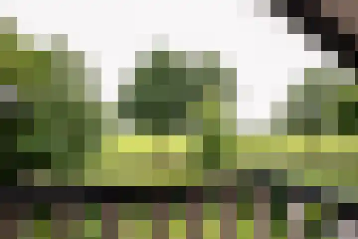 Erve Effinck 17 Enter thumbnail 31