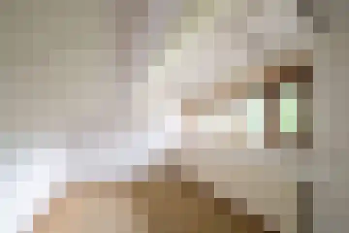 Erve Effinck 17 Enter thumbnail 32