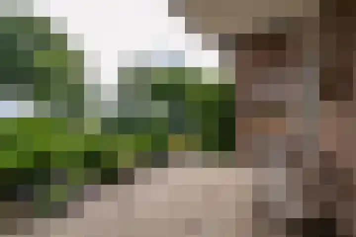 Erve Effinck 17 Enter thumbnail 37