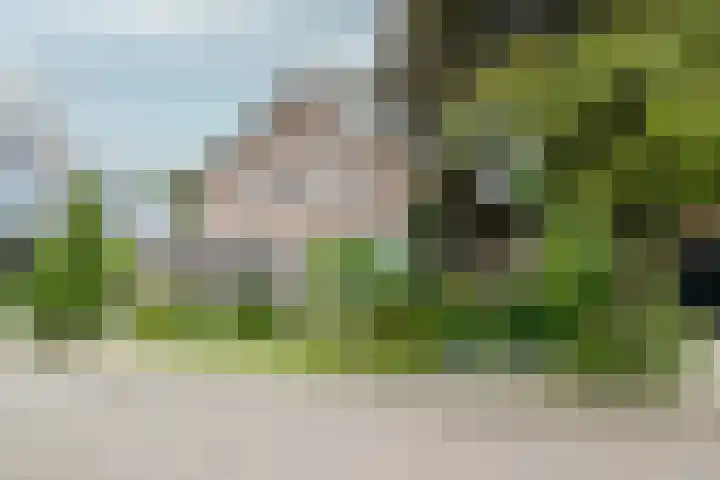 Erve Effinck 17 Enter thumbnail 4