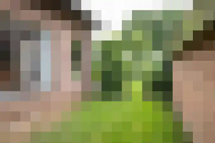 Erve Effinck 17 Enter thumbnail 41