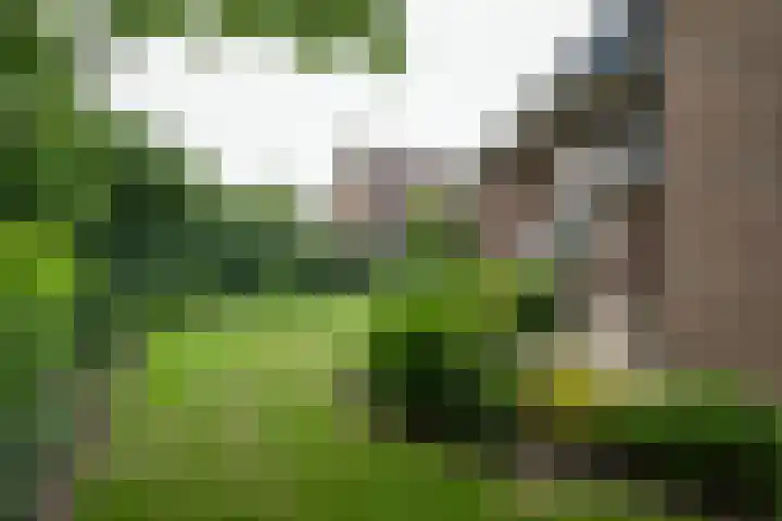 Erve Effinck 17 Enter thumbnail 44