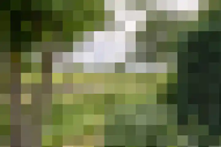 Erve Effinck 17 Enter thumbnail 46