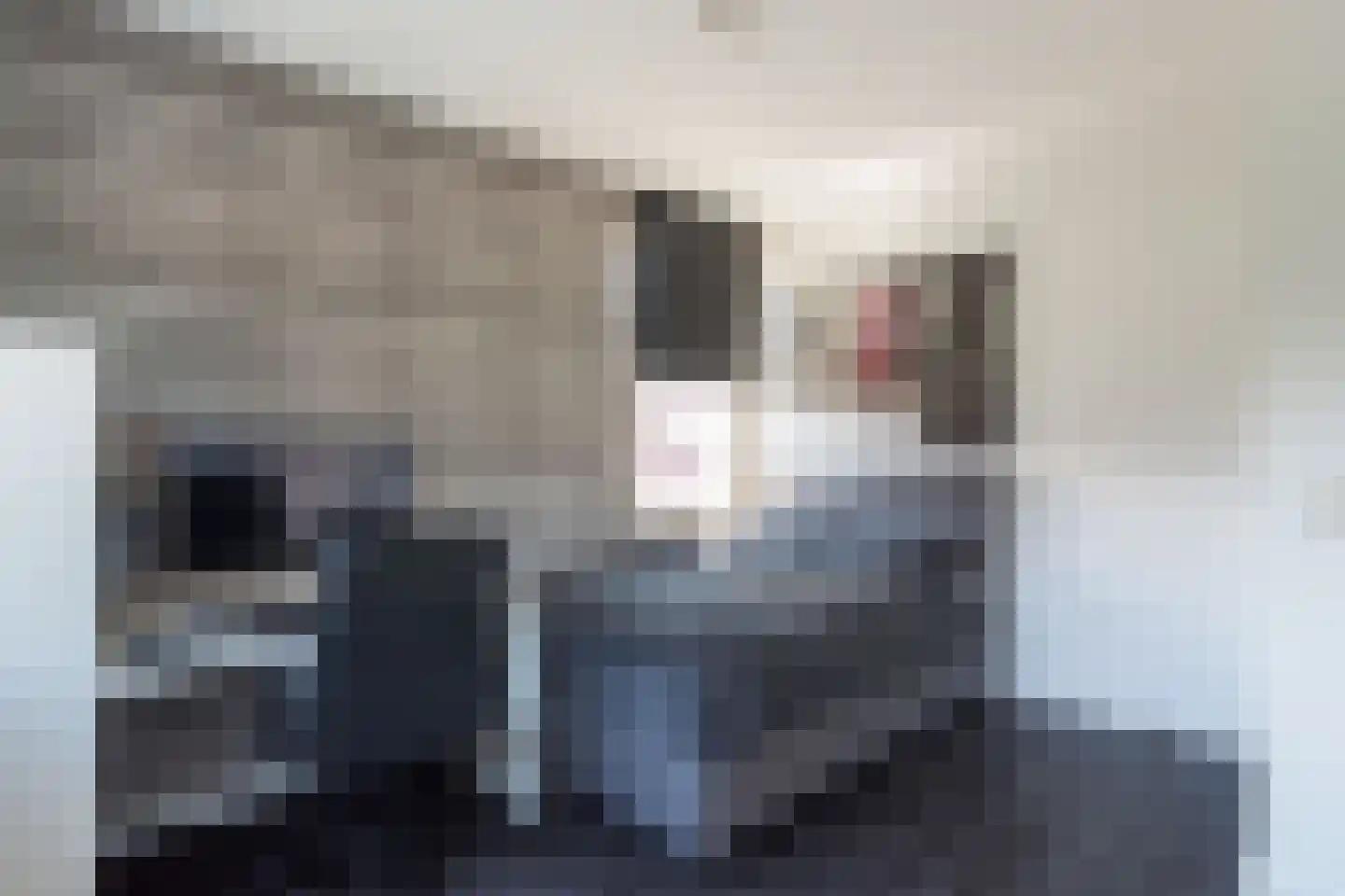 Erve Engelboer 5 Oldenzaal thumbnail 21