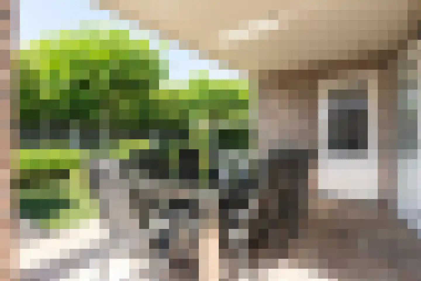Erve Engelboer 5 Oldenzaal thumbnail 34