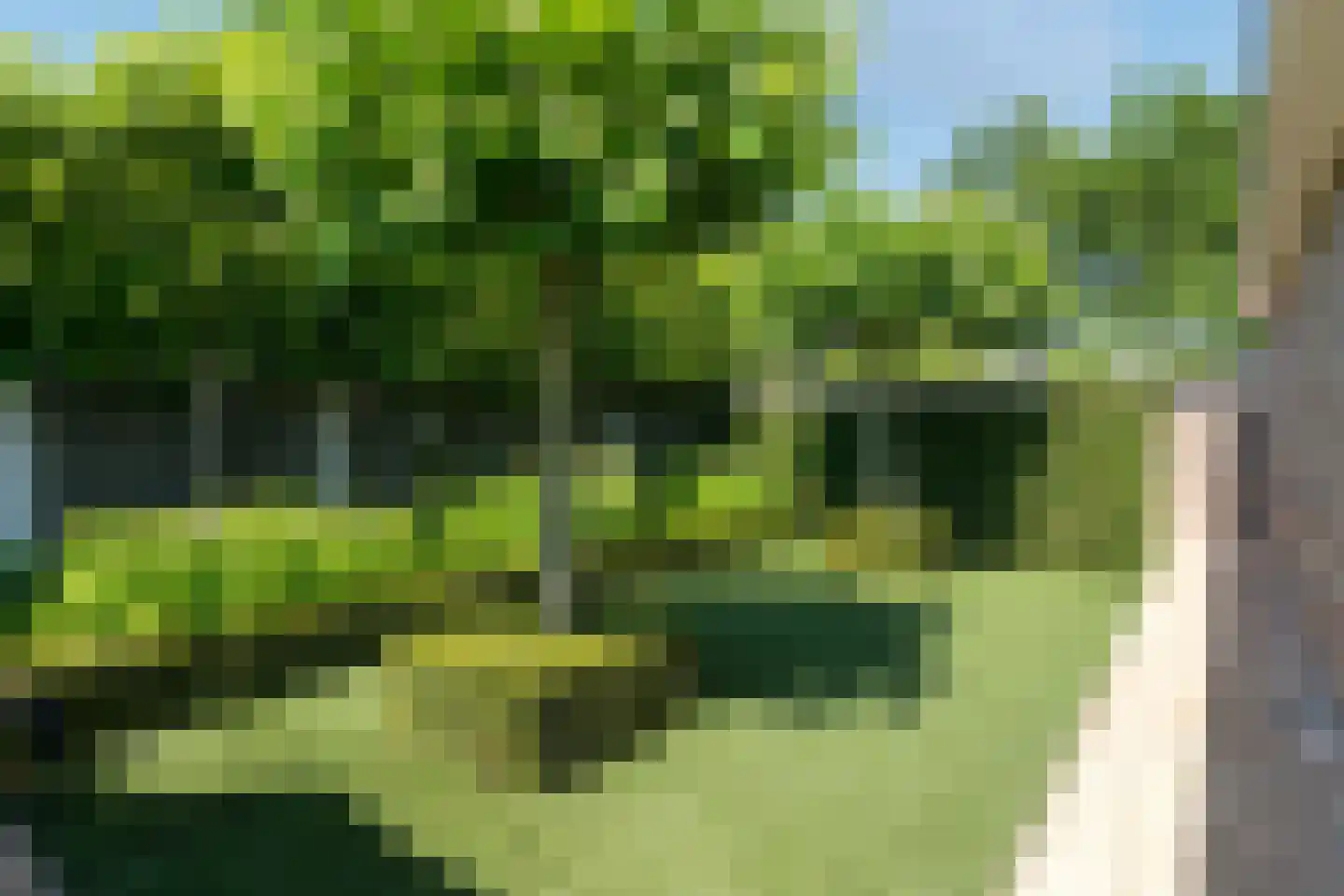 Erve Engelboer 5 Oldenzaal thumbnail 35