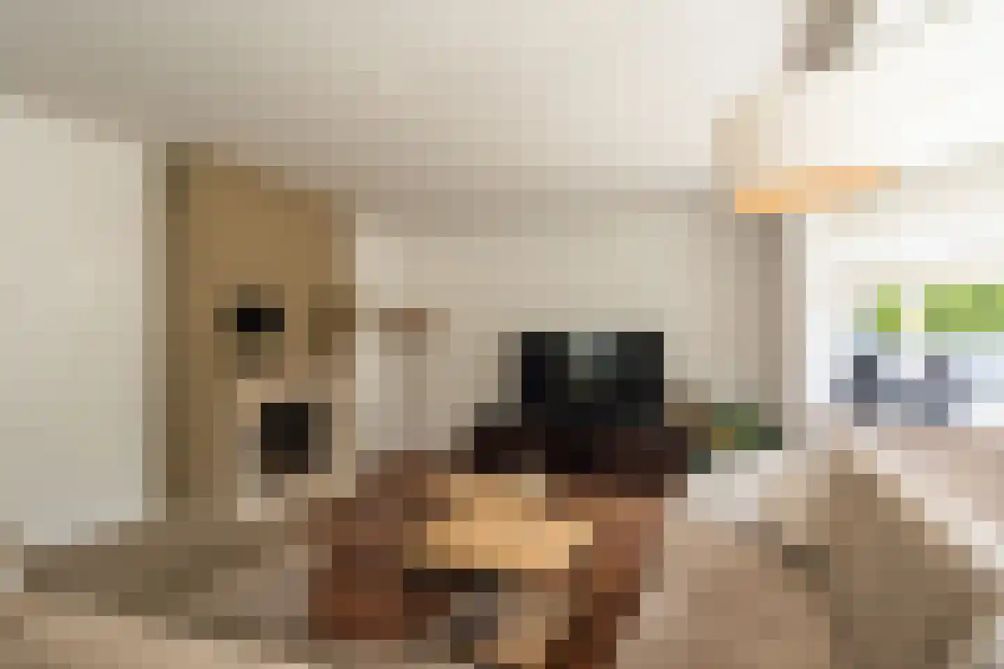 Erve Engelboer 5 Oldenzaal thumbnail 8