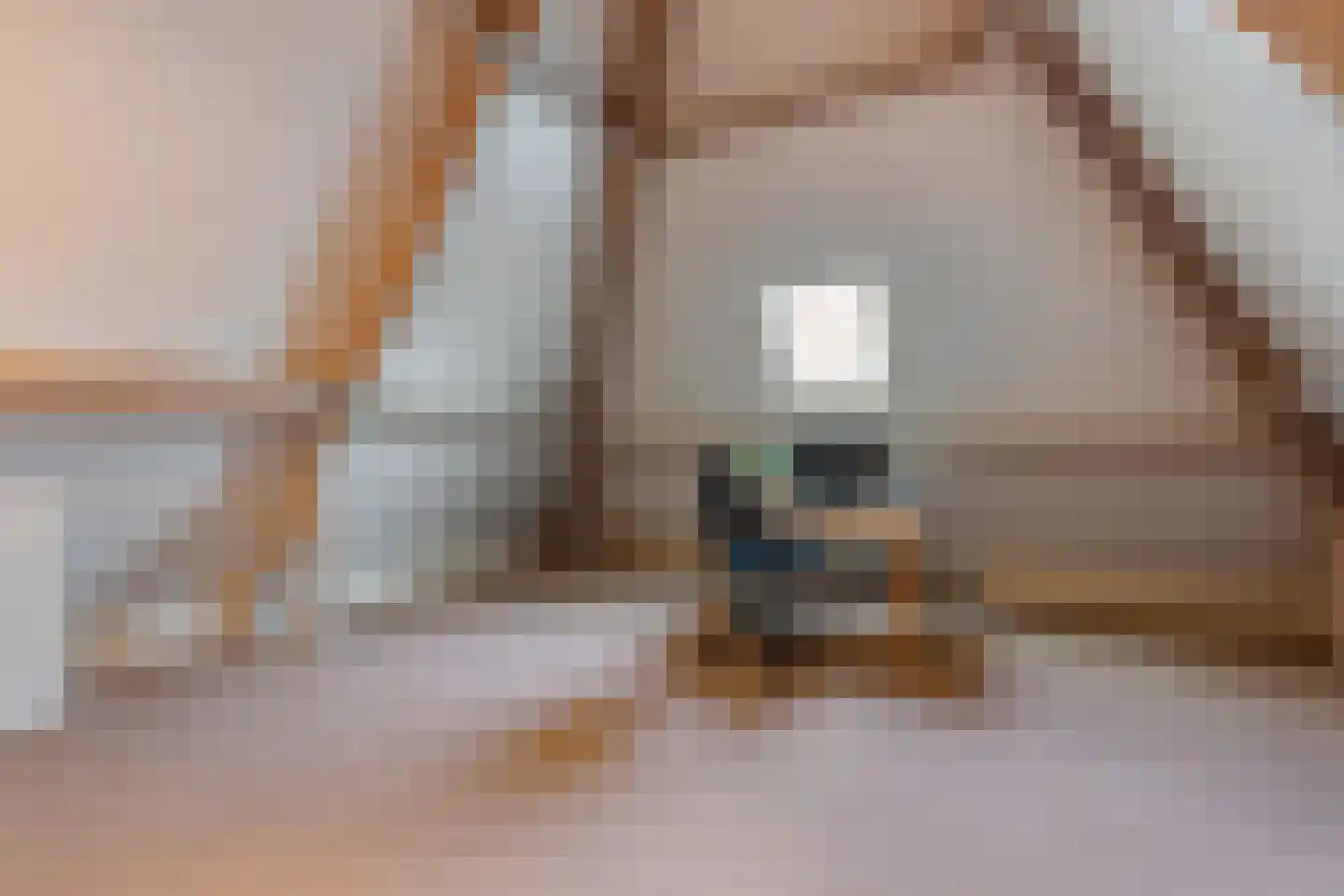 Erve Escher 1 Zenderen thumbnail 18
