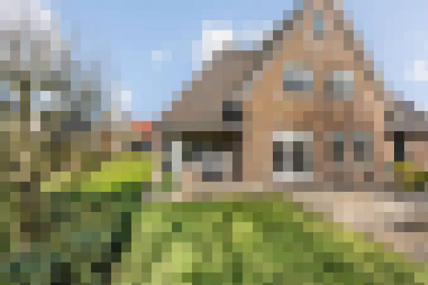 Erve Escher 1 Zenderen thumbnail 24