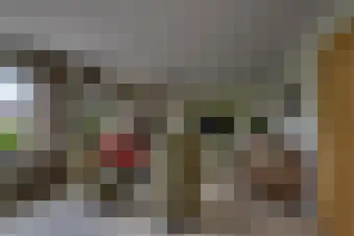 Erve Geusendam 21 Rijssen thumbnail 10