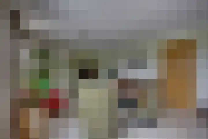 Erve Geusendam 21 Rijssen thumbnail 11