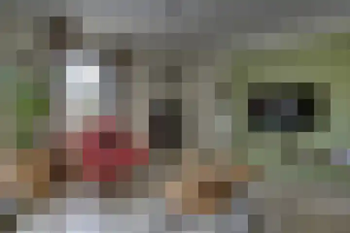 Erve Geusendam 21 Rijssen thumbnail 12