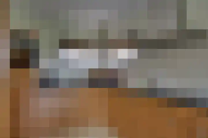 Erve Geusendam 21 Rijssen thumbnail 19
