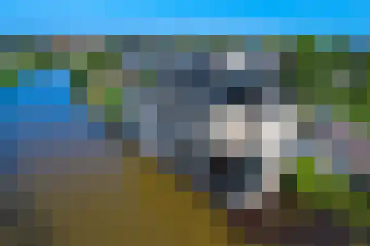 Erve Geusendam 21 Rijssen foto 2