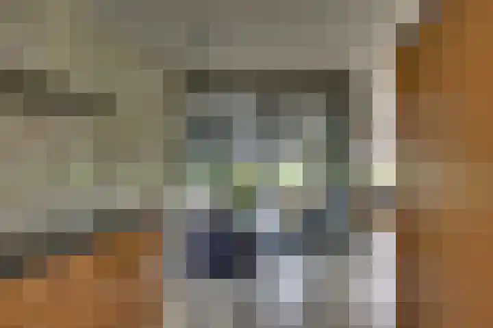 Erve Geusendam 21 Rijssen thumbnail 20