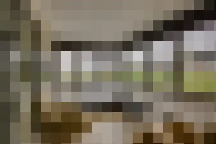 Erve Geusendam 21 Rijssen thumbnail 23