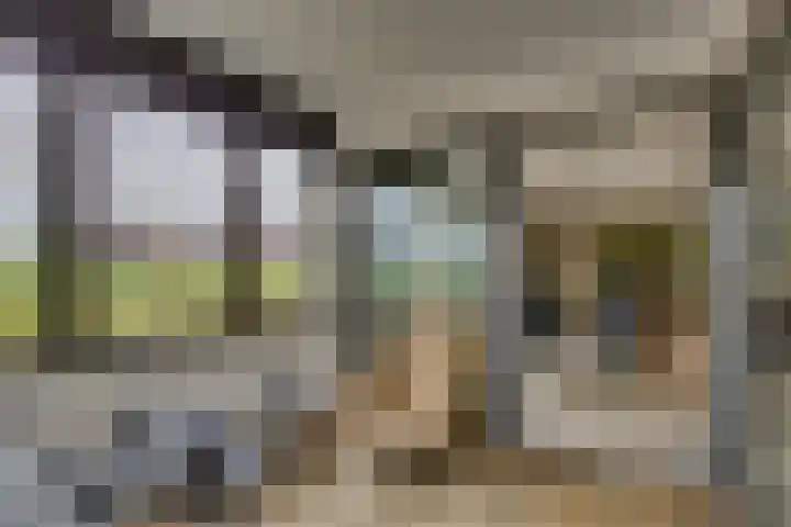 Erve Geusendam 21 Rijssen thumbnail 24