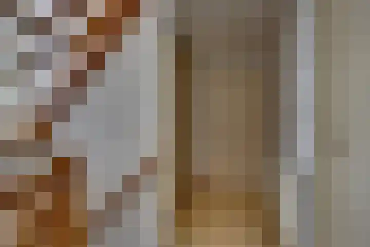 Erve Geusendam 21 Rijssen thumbnail 26