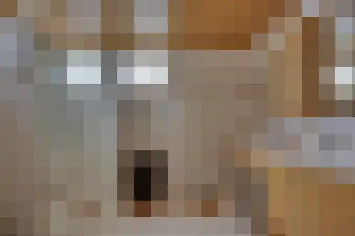 Erve Geusendam 21 Rijssen thumbnail 27