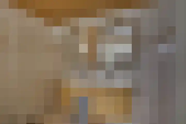 Erve Geusendam 21 Rijssen thumbnail 28