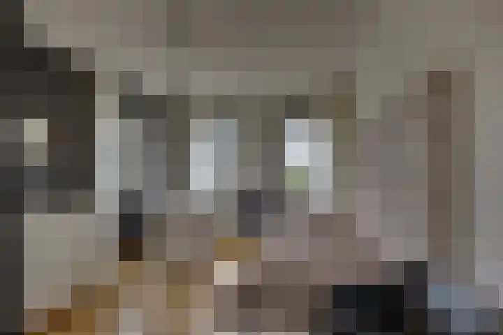 Erve Geusendam 21 Rijssen thumbnail 30