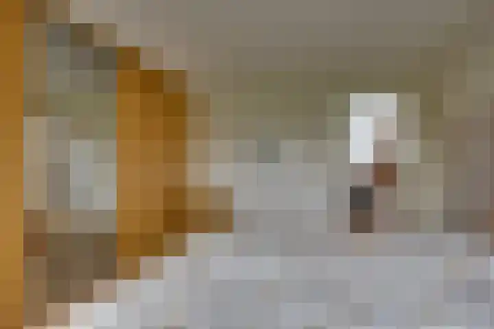 Erve Geusendam 21 Rijssen thumbnail 33