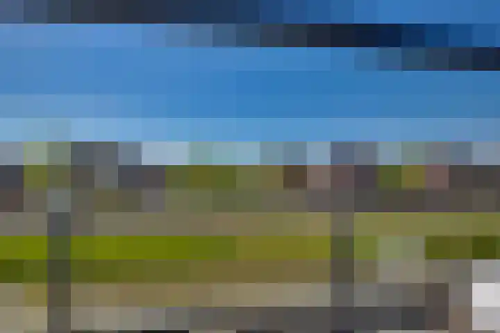 Erve Geusendam 21 Rijssen thumbnail 41