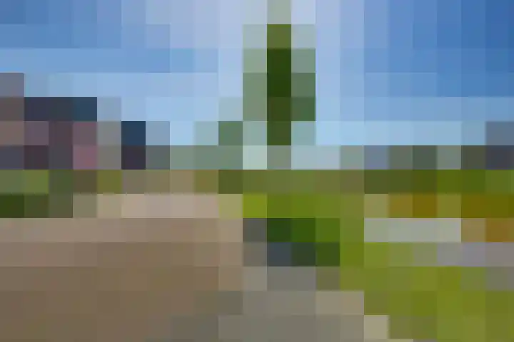 Erve Geusendam 21 Rijssen thumbnail 49