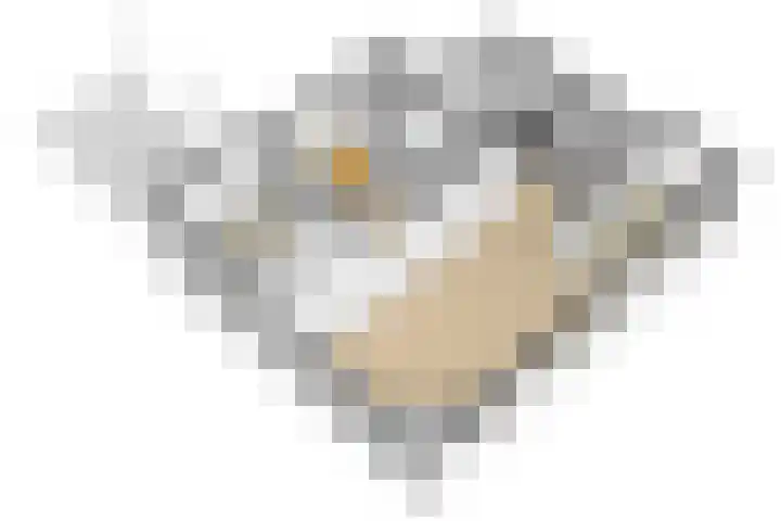Erve Geusendam 21 Rijssen thumbnail 51