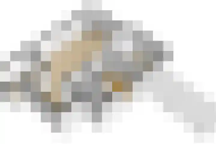 Erve Geusendam 21 Rijssen thumbnail 52