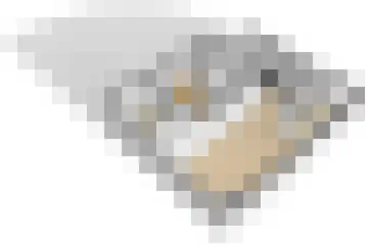 Erve Geusendam 21 Rijssen thumbnail 57