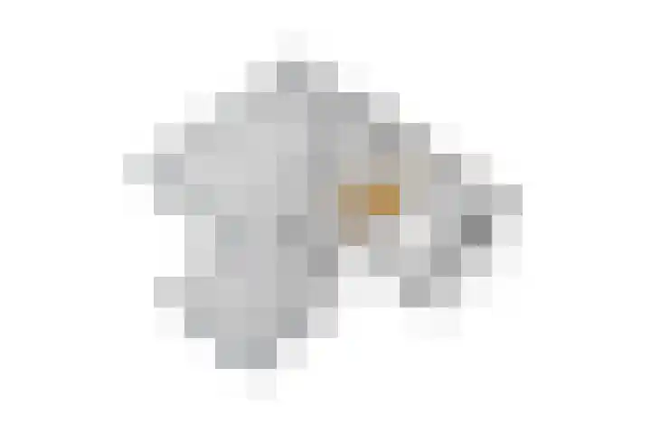 Erve Geusendam 21 Rijssen thumbnail 61