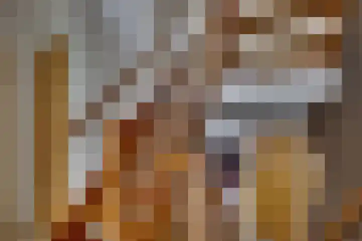 Erve Geusendam 21 Rijssen thumbnail 9