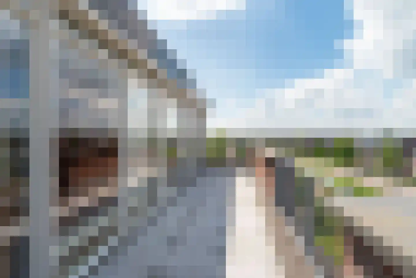 Erve Geusendam 53 Rijssen thumbnail 17
