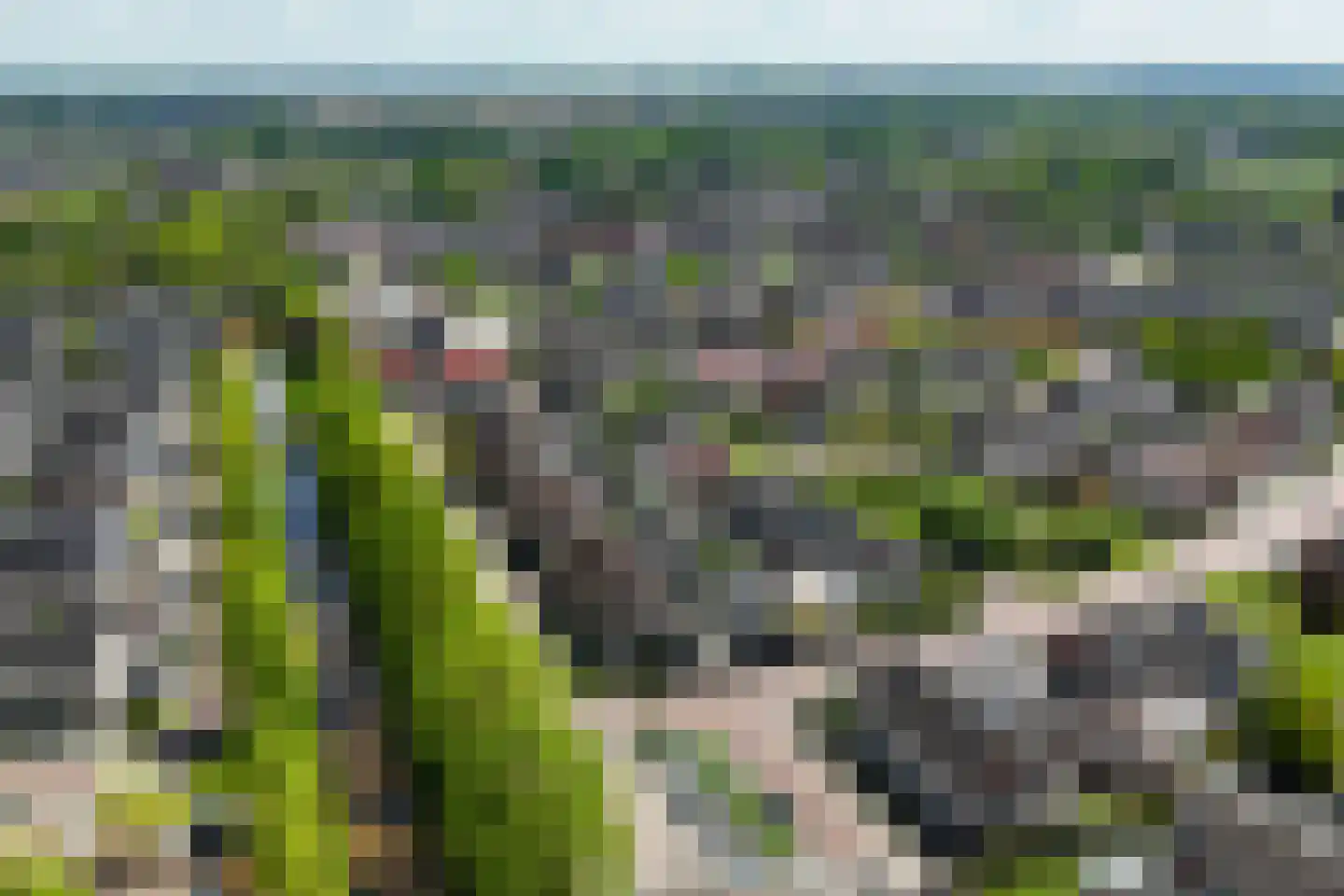Erve Geusendam 53 Rijssen thumbnail 38