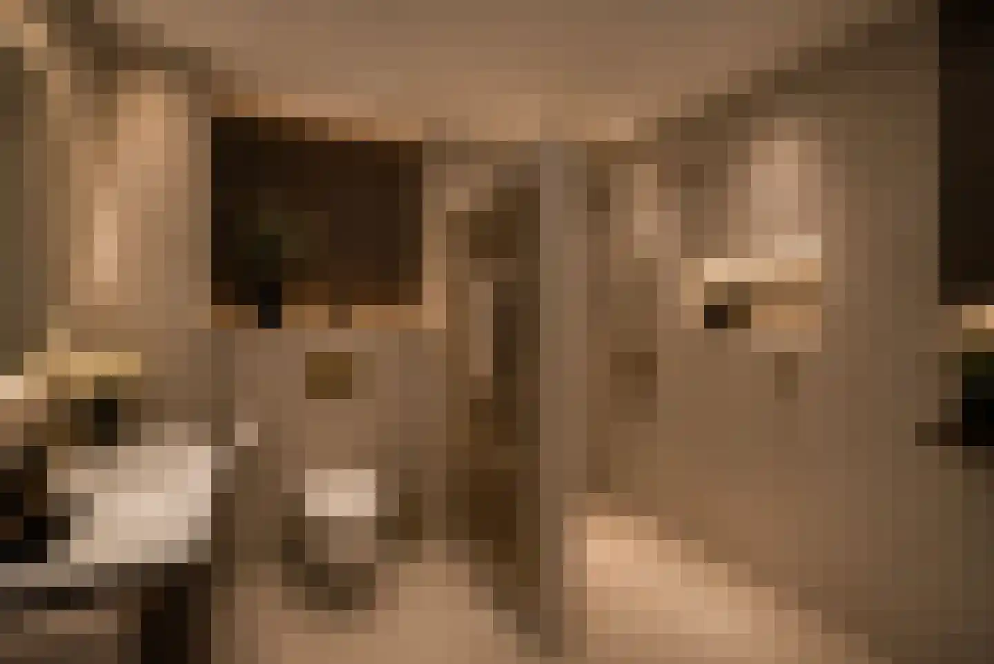 Erve Geusendam 53 Rijssen thumbnail 40
