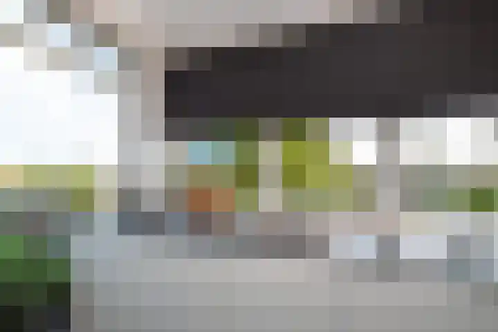 Erve Geusendam 55 Rijssen thumbnail 14