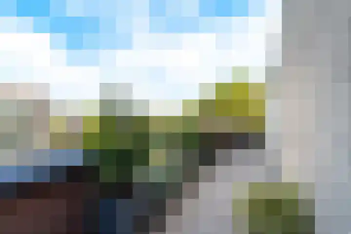 Erve Geusendam 55 Rijssen thumbnail 16