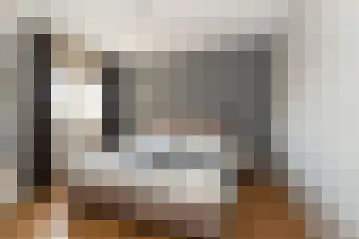 Erve Geusendam 55 Rijssen thumbnail 26