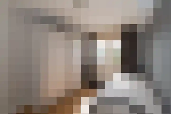 Erve Geusendam 55 Rijssen thumbnail 29