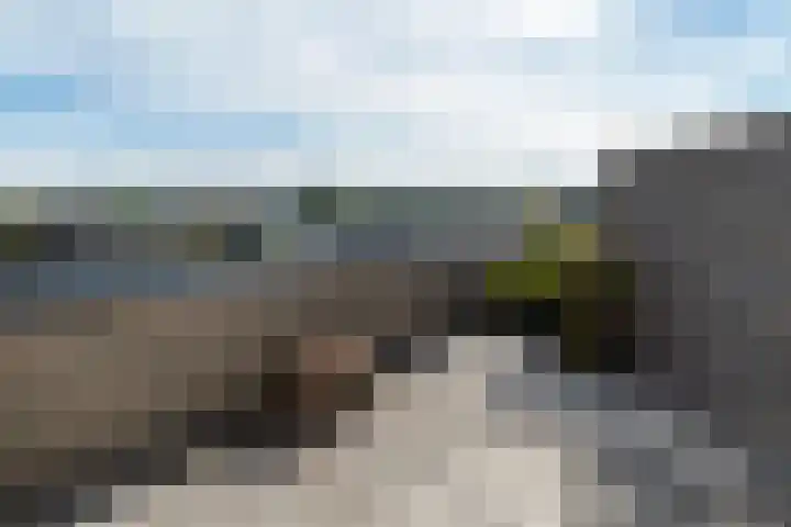 Erve Geusendam 55 Rijssen thumbnail 30