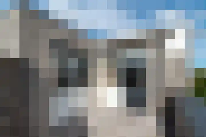 Erve Geusendam 55 Rijssen thumbnail 31