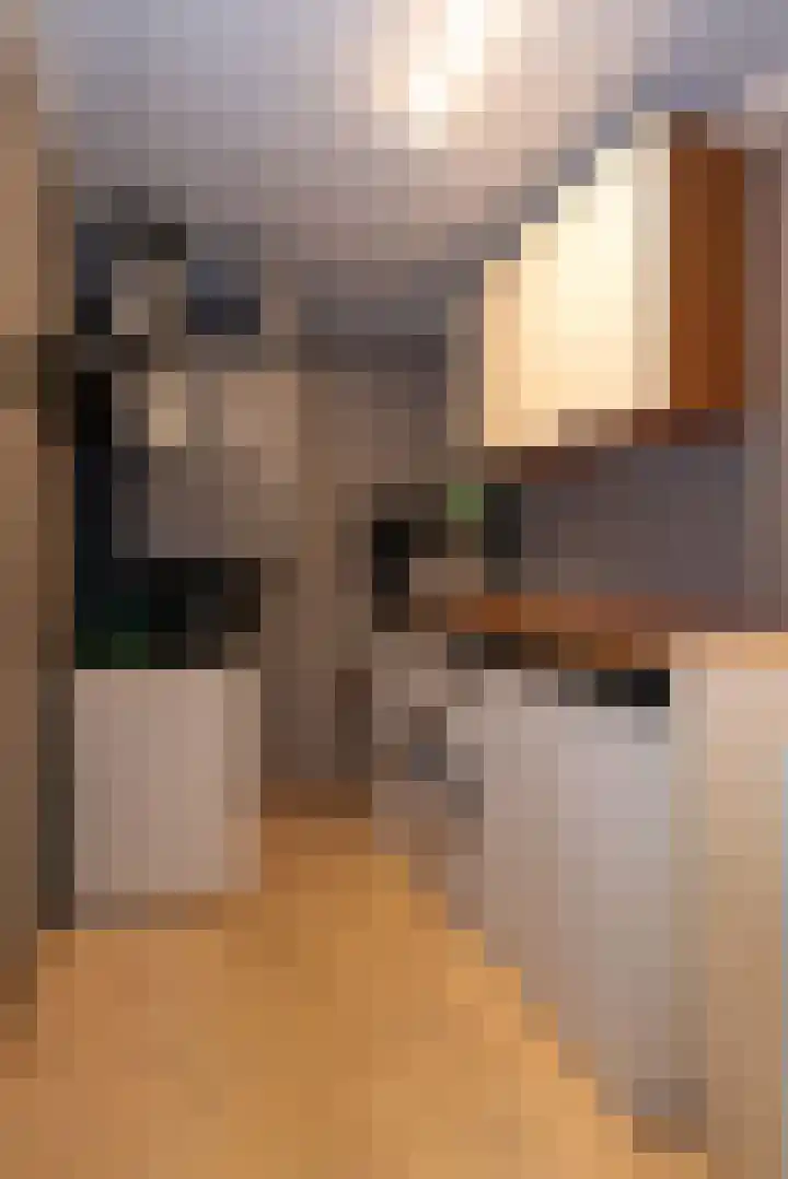 Erve Geusendam 55 Rijssen thumbnail 32